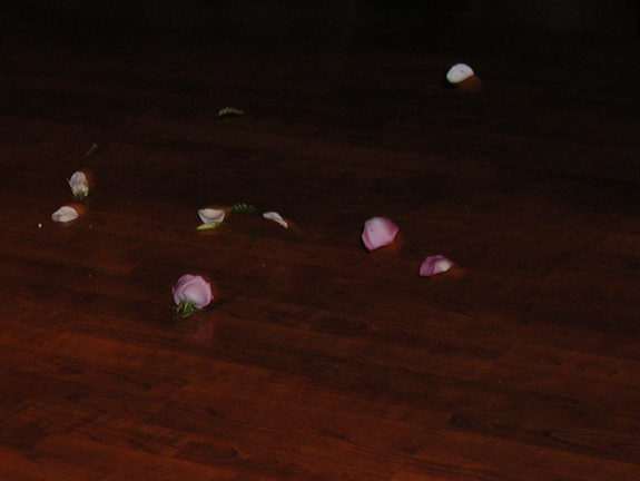 Pieces of the flowers left after the throw.