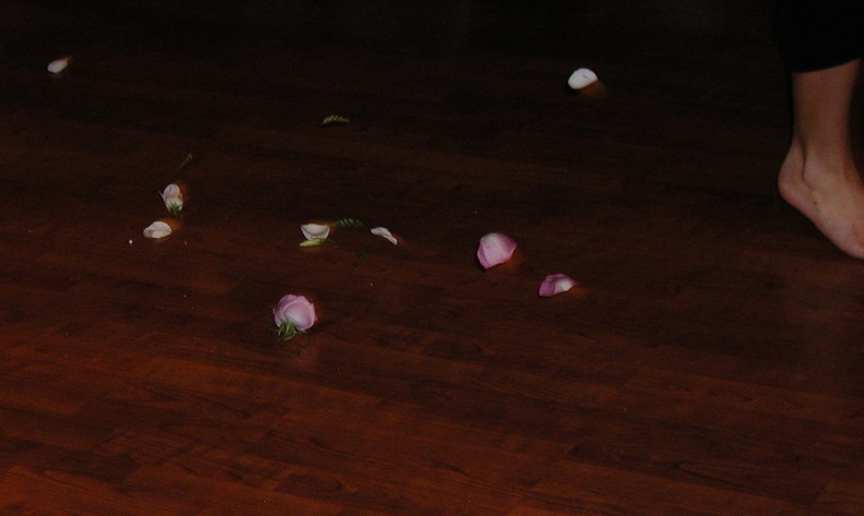 Broken_Flowers.JPG