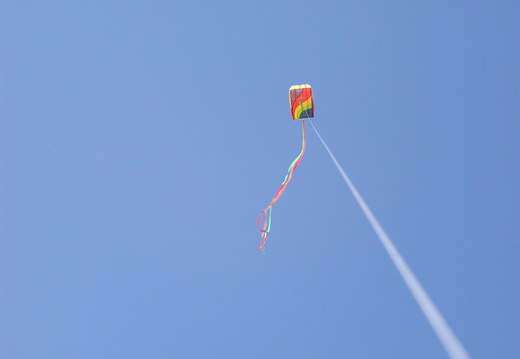 This kite flies well!