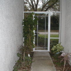 Front door entry way lined with plants.