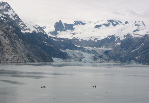 John Hopkins Inlet Glacier at the end
