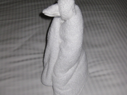 Sideview of Penguin