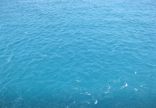 Great Stirup Cay water...beautiful blue.