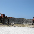 Fort Fincastle's guns