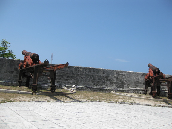 Fort Fincastle's guns