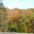Driving through the fall foliage
