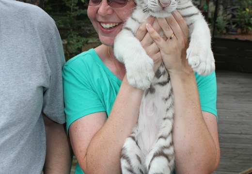 Erica holding a White Bengal tiger