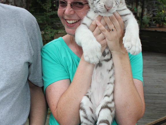 Erica holding a White Bengal tiger