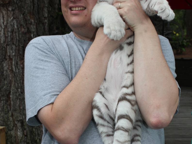 Brian holding a White Bengal tiger