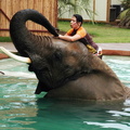 Rajani swimming with Bubbles_1600x980.JPG