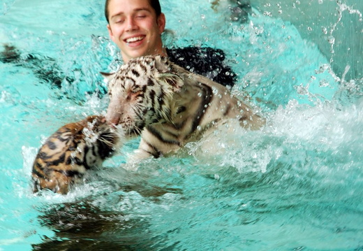 Splashing Cubs