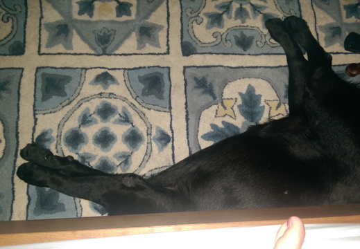 I even fit under Grandma's bed!