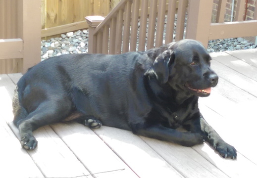 Lounging on the deck