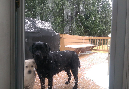 Let us in...can't you see it's snowing!