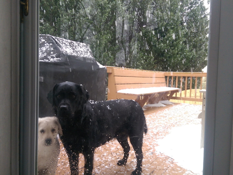 Let us in...can't you see it's snowing!