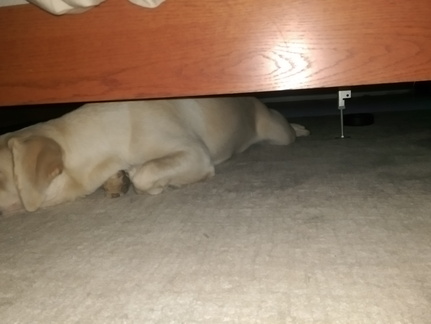 I got under here...now how do I get out again?
