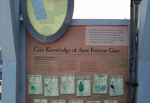 Gain Knowledge of these Fortress Guns
