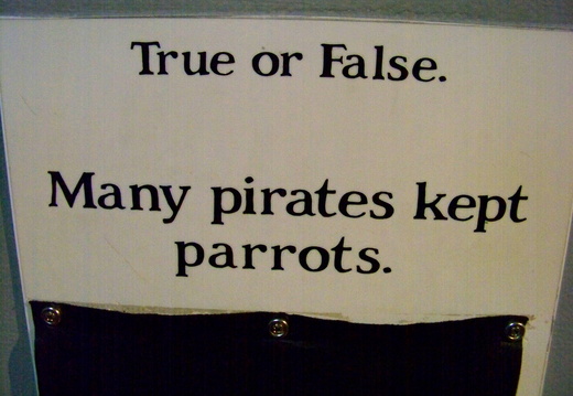Many pirates kept parrots...T/F?