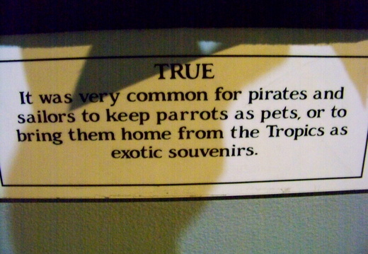 True, pirates had parrots