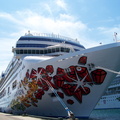 The front of the Norwegian Gem