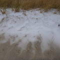Snow drifts into the beach grass