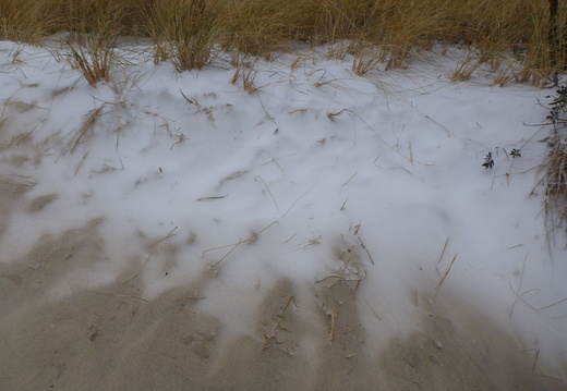 Snow drifts into the beach grass