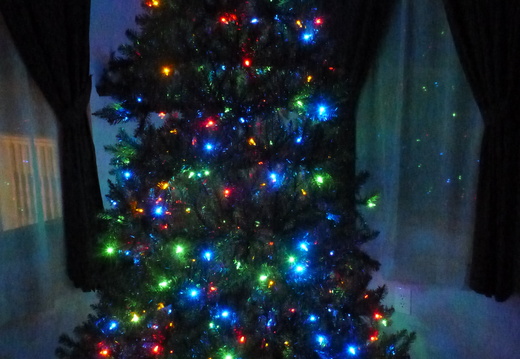 Non classical tree lights, but cool looking 2012