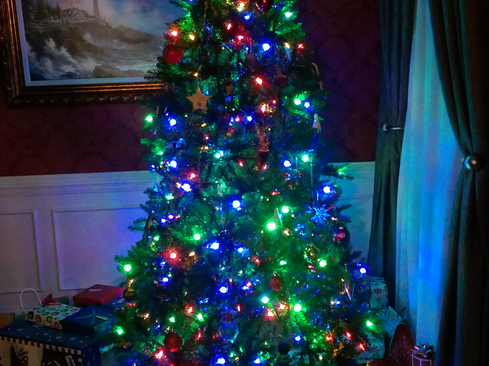 Our tree on Christmas Eve in Apex, NC