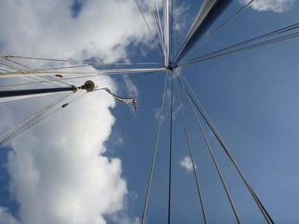 Looking up before sailing off