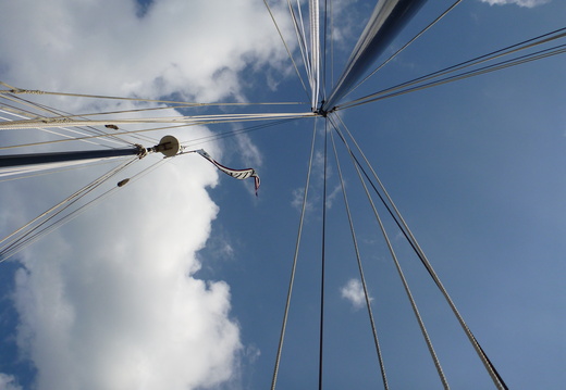 Looking up before sailing off