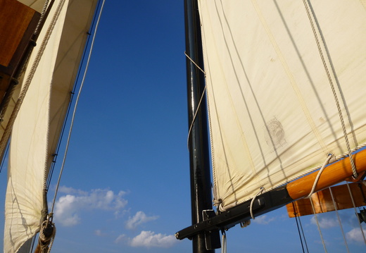 Sailing during wonderful weather