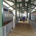 Walking on the platform