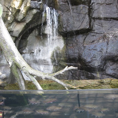 Front entry waterfall