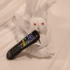 Fourth animal: rabbit (and they gave him a remote because the frog had the daily)