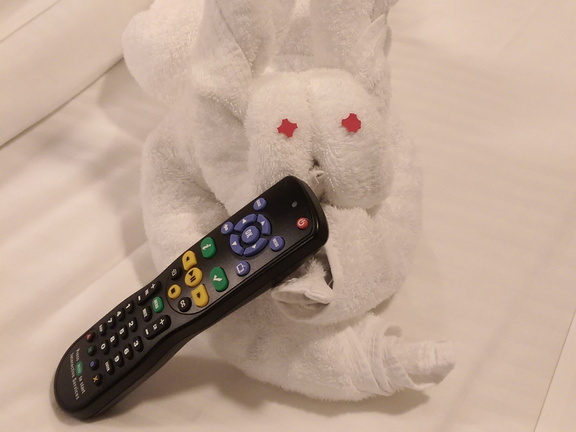 Fourth animal: rabbit (and they gave him a remote because the frog had the daily)