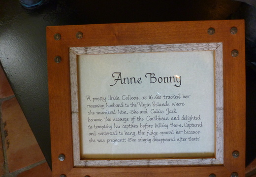 Information on "Anne Bonny"