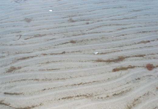 The waves made ripples in the sand.