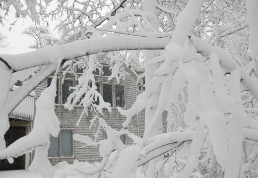 Cool snowy view of the back of the house.