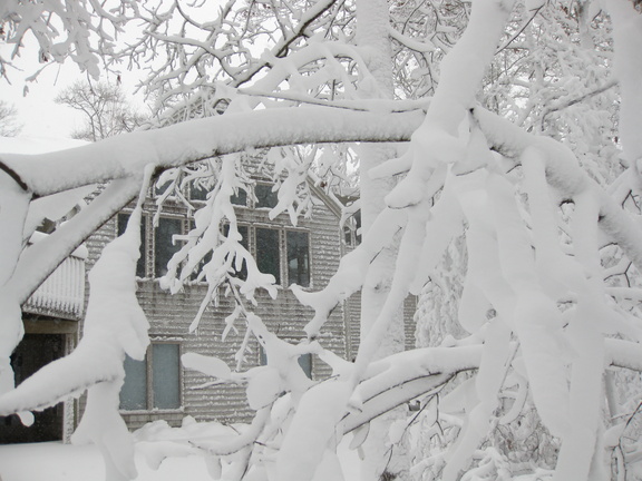 Cool snowy view of the back of the house.