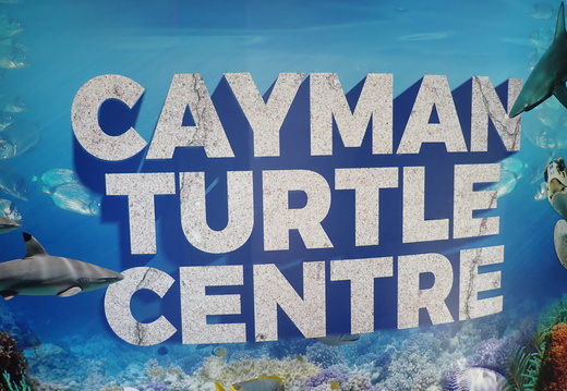 Cayman Turtle Centre