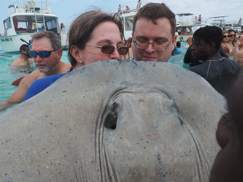 Getting up close with a Stingray that's about 40 yrs old