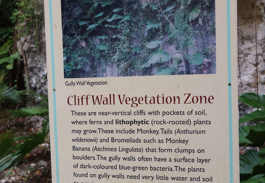 Cliff Wall Vegetation Zone Info
