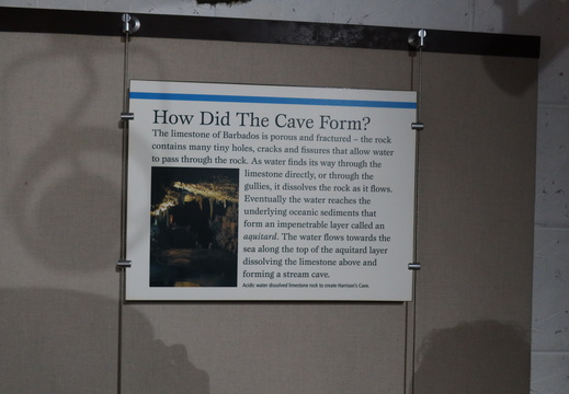 How did Harrison Cave form?