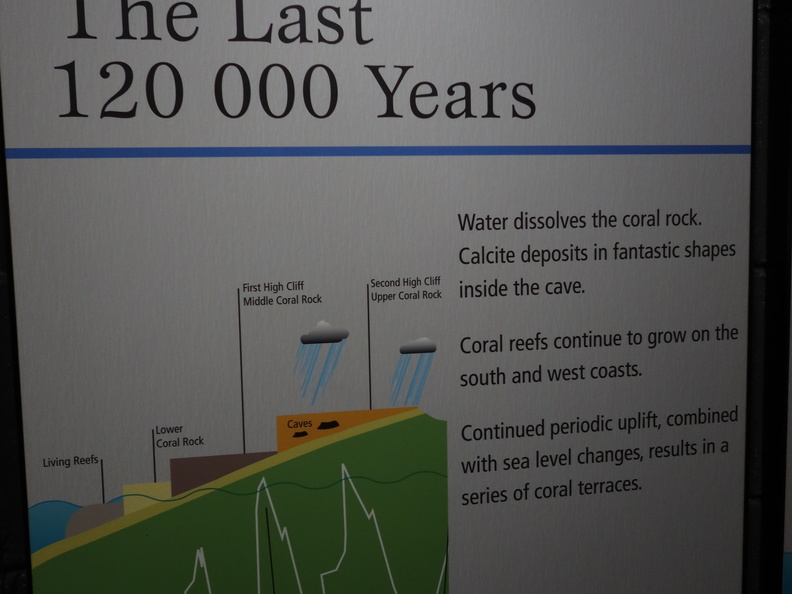 In the last 120,000 years
