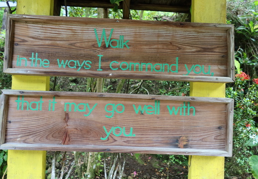 "Walk in the ways..."