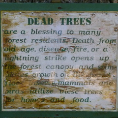 Great Dead Tree saying