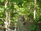 Ashboro Zoo