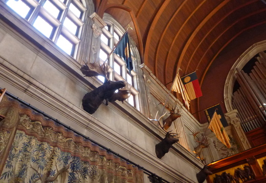 Taxidermy decorations in the Banquet Hall