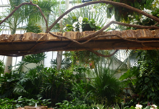 Train track inside the Conservatory