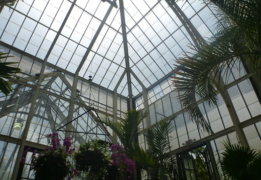 Conservatory ceiling